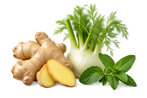 Fresh ginger, fennel bulb and mint leaves