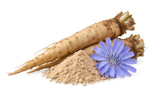 Chicory roots, chicory powder and a violet-blue chicory flower